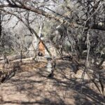 WhatsApp Image 2022-05-15 at 4.20.46 PM (1)