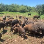 WhatsApp Image 2022-05-15 at 4.21.44 PM