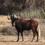 WhatsApp Image 2022-05-15 at 4.21.56 PM