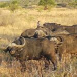 WhatsApp Image 2022-05-15 at 4.25.10 PM