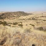 WhatsApp Image 2022-05-15 at 4.26.56 PM