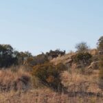 WhatsApp Image 2022-05-15 at 4.26.57 PM