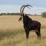 WhatsApp Image 2022-05-15 at 4.29.42 PM