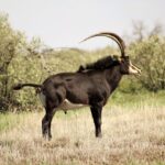 WhatsApp Image 2022-05-15 at 4.29.43 PM