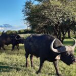 WhatsApp Image 2022-05-15 at 4.29.56 PM