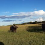 WhatsApp Image 2022-05-15 at 4.29.59 PM