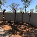 WhatsApp Image 2022-05-15 at 4.30.00 PM