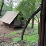 WhatsApp Image 2022-05-24 at 3.30.26 PM (1)