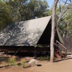 WhatsApp Image 2022-05-24 at 3.30.27 PM (1)