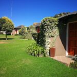 WhatsApp Image 2023-07-04 at 09.46.11