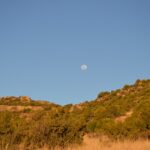 WhatsApp Image 2023-07-04 at 09.46.12 (3)