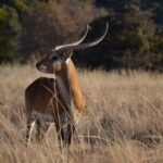 WhatsApp Image 2023-07-04 at 09.46.13 (3)