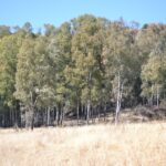 WhatsApp Image 2023-07-04 at 09.46.15 (2)