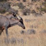 WhatsApp Image 2023-07-04 at 09.46.15 (3)