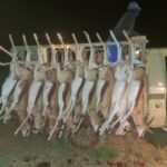 WhatsApp Image 2023-07-04 at 10.16.29 (2)