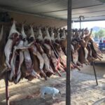 WhatsApp Image 2023-07-04 at 10.16.30