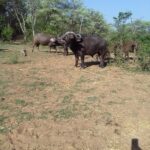 WhatsApp Image 2024-05-19 at 15.27.14_7de95463