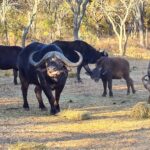 WhatsApp Image 2024-05-19 at 15.27.15_dc11cec4