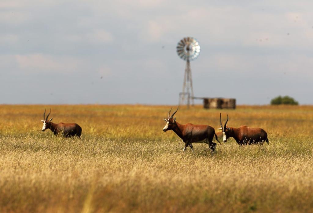 WhatsApp Image 2024-05-27 at 17.00.52_ae79aa82