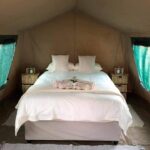 WhatsApp Image 2024-07-07 at 11.34.19_45f832a7